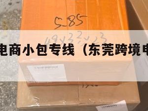 东莞跨境电商小包专线（东莞跨境电商小包专线电话）