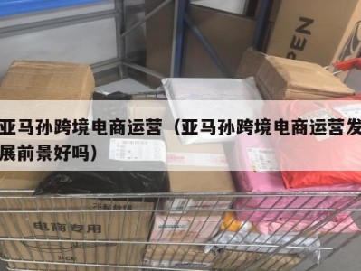 亚马孙跨境电商运营（亚马孙跨境电商运营发展前景好吗）