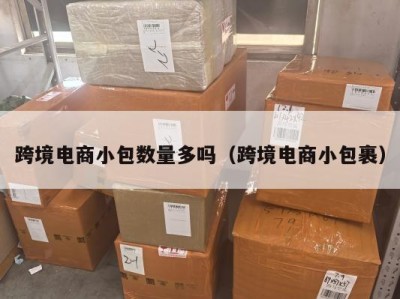 跨境电商小包数量多吗(跨境电商小包裹)