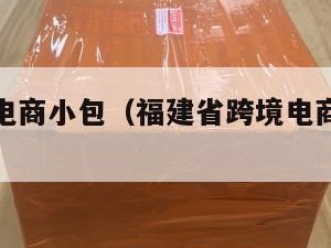 福建跨境电商小包（福建省跨境电商公共服务平台）