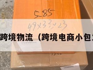 电商小包跨境物流（跨境电商小包发货货代）