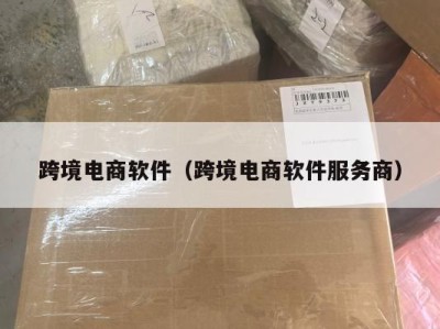 跨境电商软件（跨境电商软件服务商）