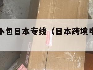 跨境电商小包日本专线（日本跨境电商平台最新排名）