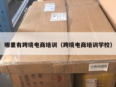 哪里有跨境电商培训（跨境电商培训学校）