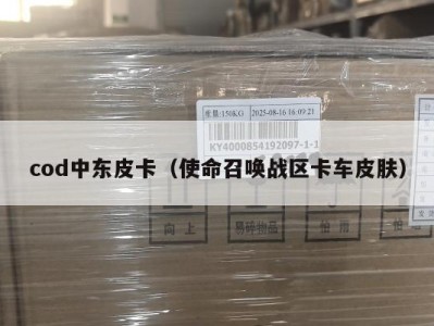 cod中东皮卡（使命召唤战区卡车皮肤）