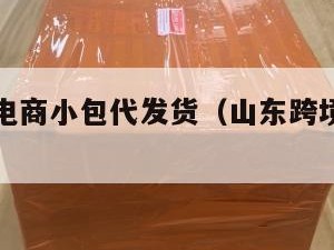 山东跨境电商小包代发货（山东跨境电子商务有限公司）