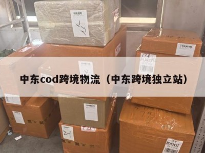 中东cod跨境物流（中东跨境独立站）