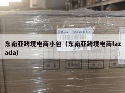 东南亚跨境电商小包（东南亚跨境电商lazada）
