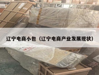 辽宁电商小包（辽宁电商产业发展现状）