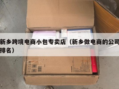 新乡跨境电商小包专卖店（新乡做电商的公司排名）