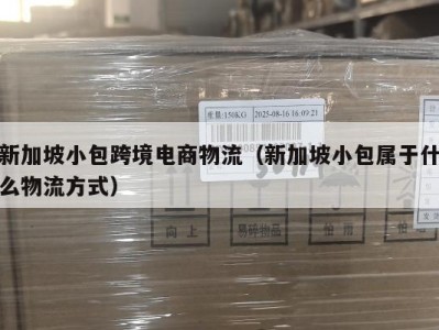 新加坡小包跨境电商物流（新加坡小包属于什么物流方式）