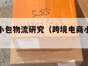 跨境电商小包物流研究（跨境电商小包物流排行）
