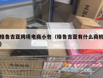 格鲁吉亚跨境电商小包（格鲁吉亚有什么商机）