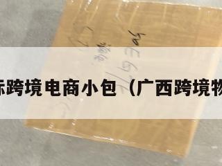 广西国际跨境电商小包（广西跨境物流通道）