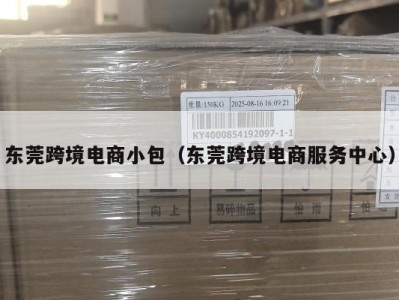 东莞跨境电商小包（东莞跨境电商服务中心）