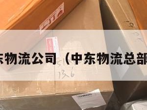 cod中东物流公司（中东物流总部在哪里）