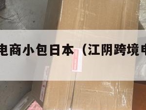 江阴跨境电商小包日本（江阴跨境电商小包日本公司）
