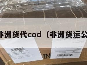 到非洲货代cod（非洲货运公司）