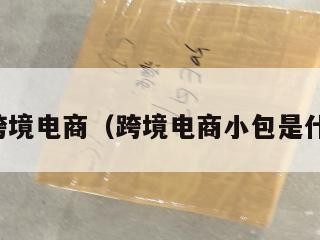 小包总跨境电商（跨境电商小包是什么意思）