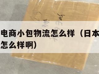 日本跨境电商小包物流怎么样（日本跨境电商小包物流怎么样啊）