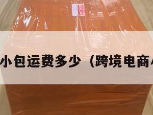 跨境电商小包运费多少（跨境电商小包寄递）