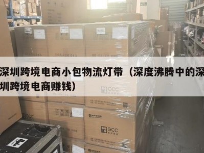 深圳跨境电商小包物流灯带（深度沸腾中的深圳跨境电商赚钱）
