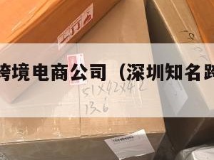 深圳十大跨境电商公司（深圳知名跨境电商公司）