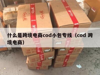 什么是跨境电商cod小包专线（cod 跨境电商）