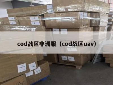 cod战区非洲服（cod战区uav）