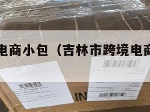 吉林跨境电商小包（吉林市跨境电商首期培训班开班）