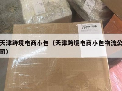天津跨境电商小包（天津跨境电商小包物流公司）