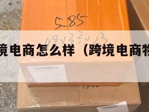 小包做跨境电商怎么样（跨境电商物流小包专线）