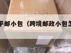 跨境电商平邮小包（跨境邮政小包怎么下单寄件）