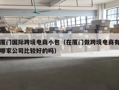 厦门国际跨境电商小包（在厦门做跨境电商有哪家公司比较好的吗）