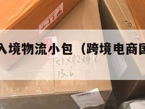 跨境电商入境物流小包（跨境电商国际物流进口流程）