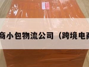 跨境电商小包物流公司（跨境电商 小包）