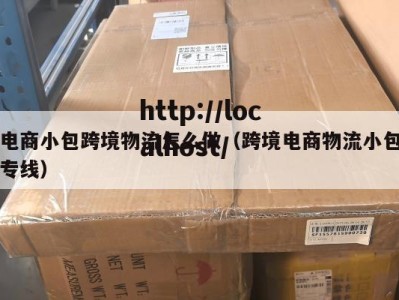 电商小包跨境物流怎么做（跨境电商物流小包专线）