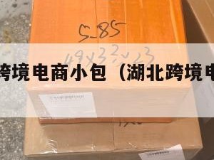 湖北国际跨境电商小包（湖北跨境电商行业峰会）