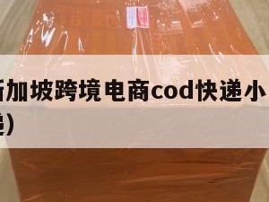 肇庆到新加坡跨境电商cod快递小包（肇庆国际快递）