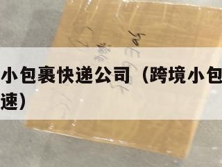 跨境电商小包裹快递公司（跨境小包快递找哪家便宜快速）