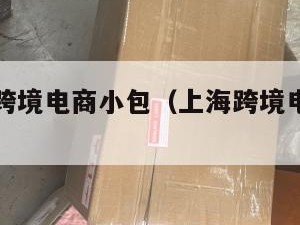 上海国际跨境电商小包（上海跨境电商服务公司）