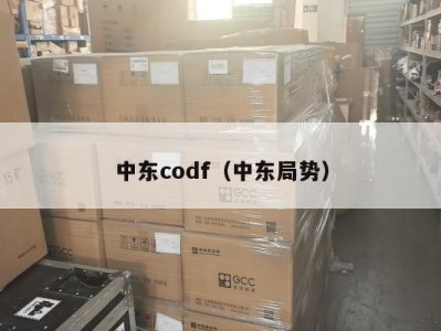 中东codf（中东局势）