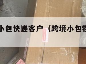 跨境电商小包快递客户（跨境小包物流运费怎么计算）