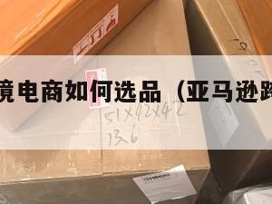 亚马逊跨境电商如何选品（亚马逊跨境电商选品怎么选）