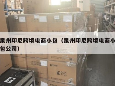 泉州印尼跨境电商小包（泉州印尼跨境电商小包公司）