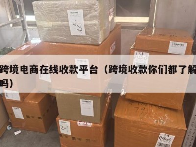 跨境电商在线收款平台（跨境收款你们都了解吗）