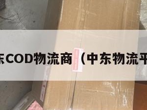 中东COD物流商（中东物流平台）