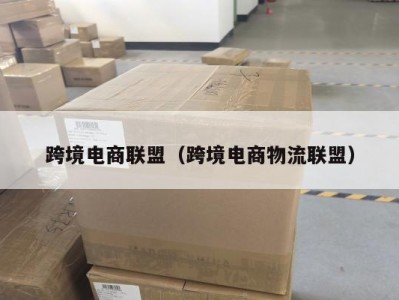 跨境电商联盟（跨境电商物流联盟）
