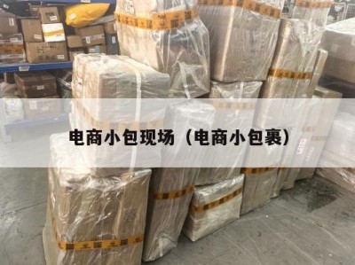电商小包现场（电商小包裹）