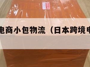 日本跨境电商小包物流（日本跨境电商小包物流怎么样）